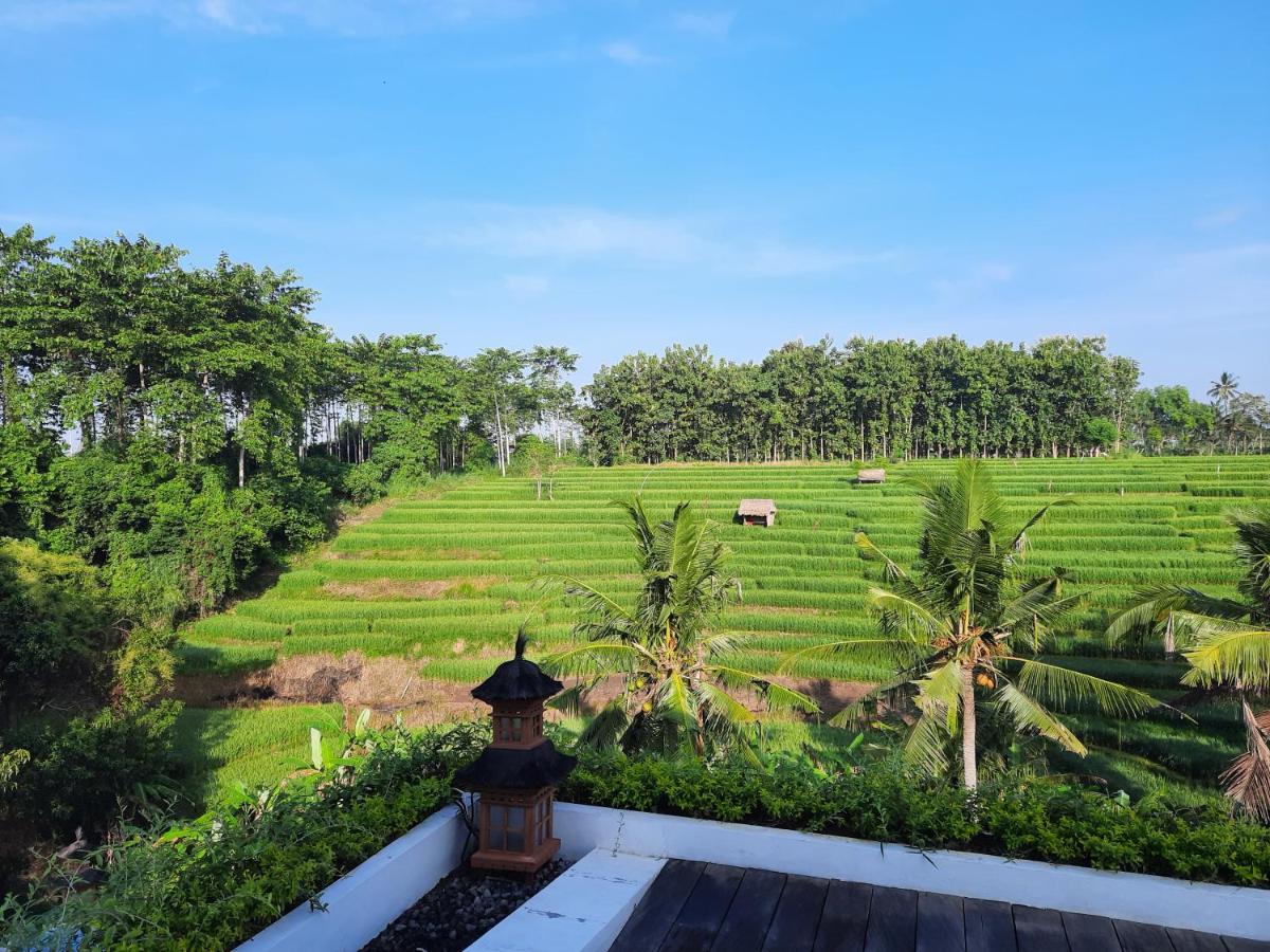 Serenity Private Villa Mas Ubud エクステリア 写真
