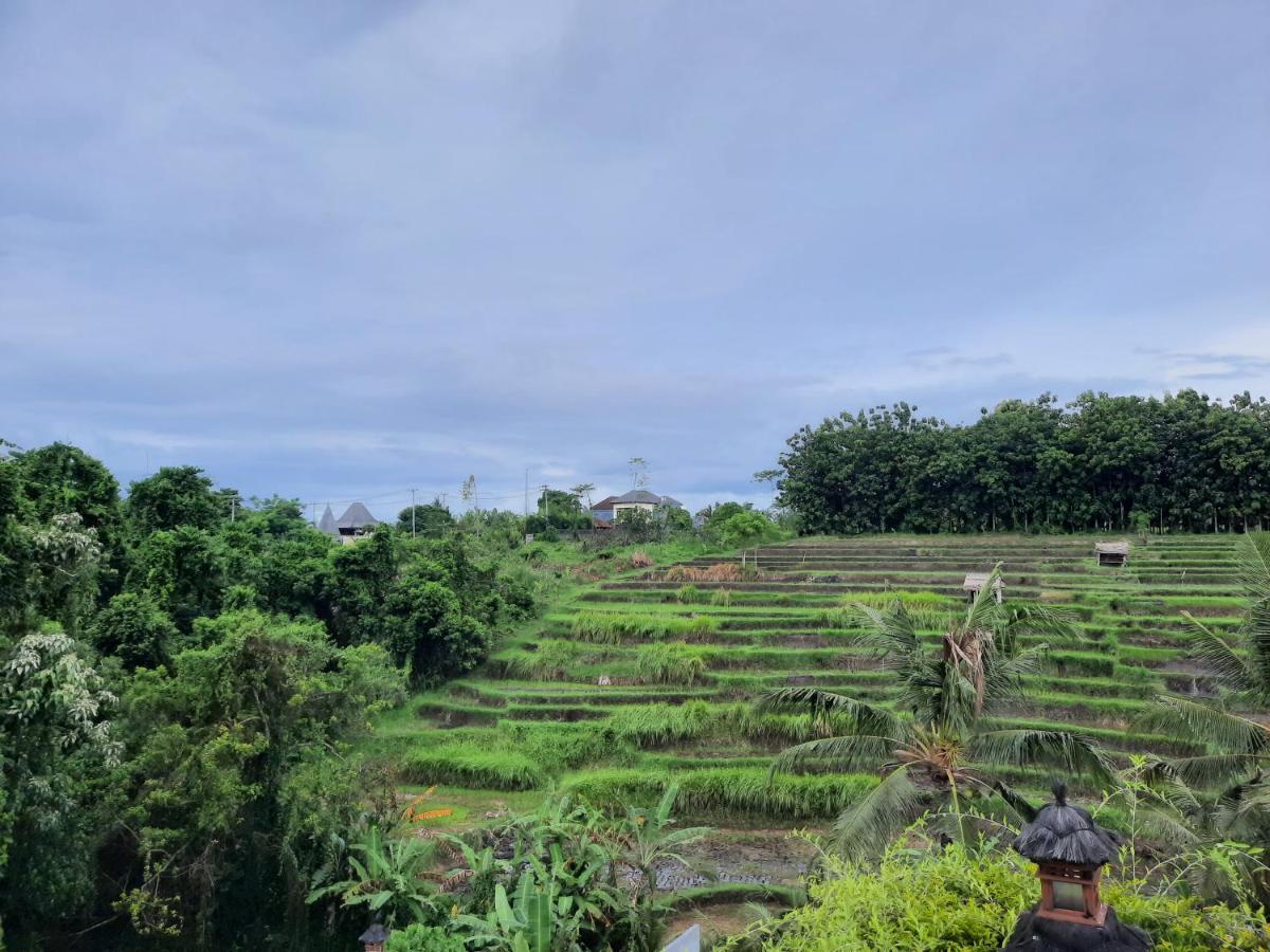 Serenity Private Villa Mas Ubud エクステリア 写真