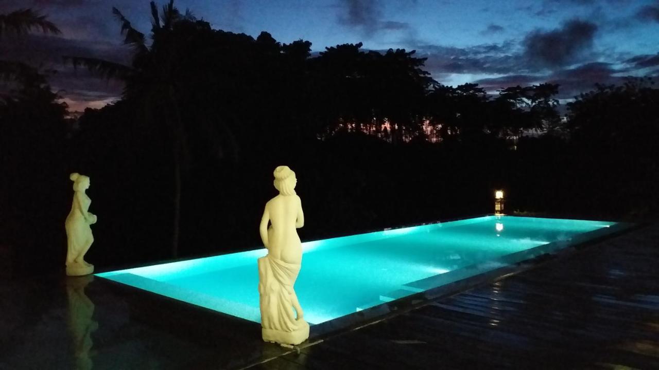 Serenity Private Villa Mas Ubud エクステリア 写真