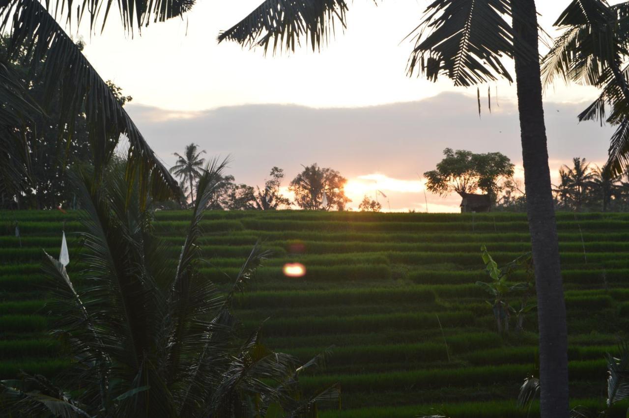 Serenity Private Villa Mas Ubud エクステリア 写真