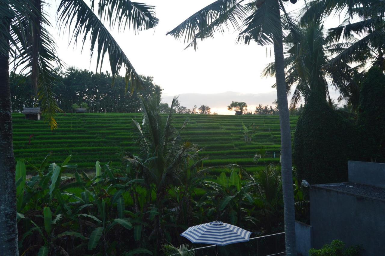 Serenity Private Villa Mas Ubud エクステリア 写真
