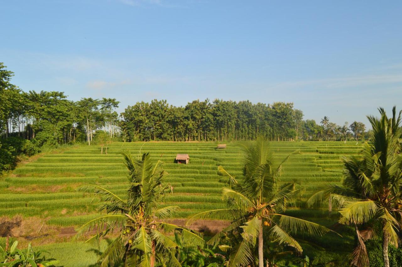 Serenity Private Villa Mas Ubud エクステリア 写真