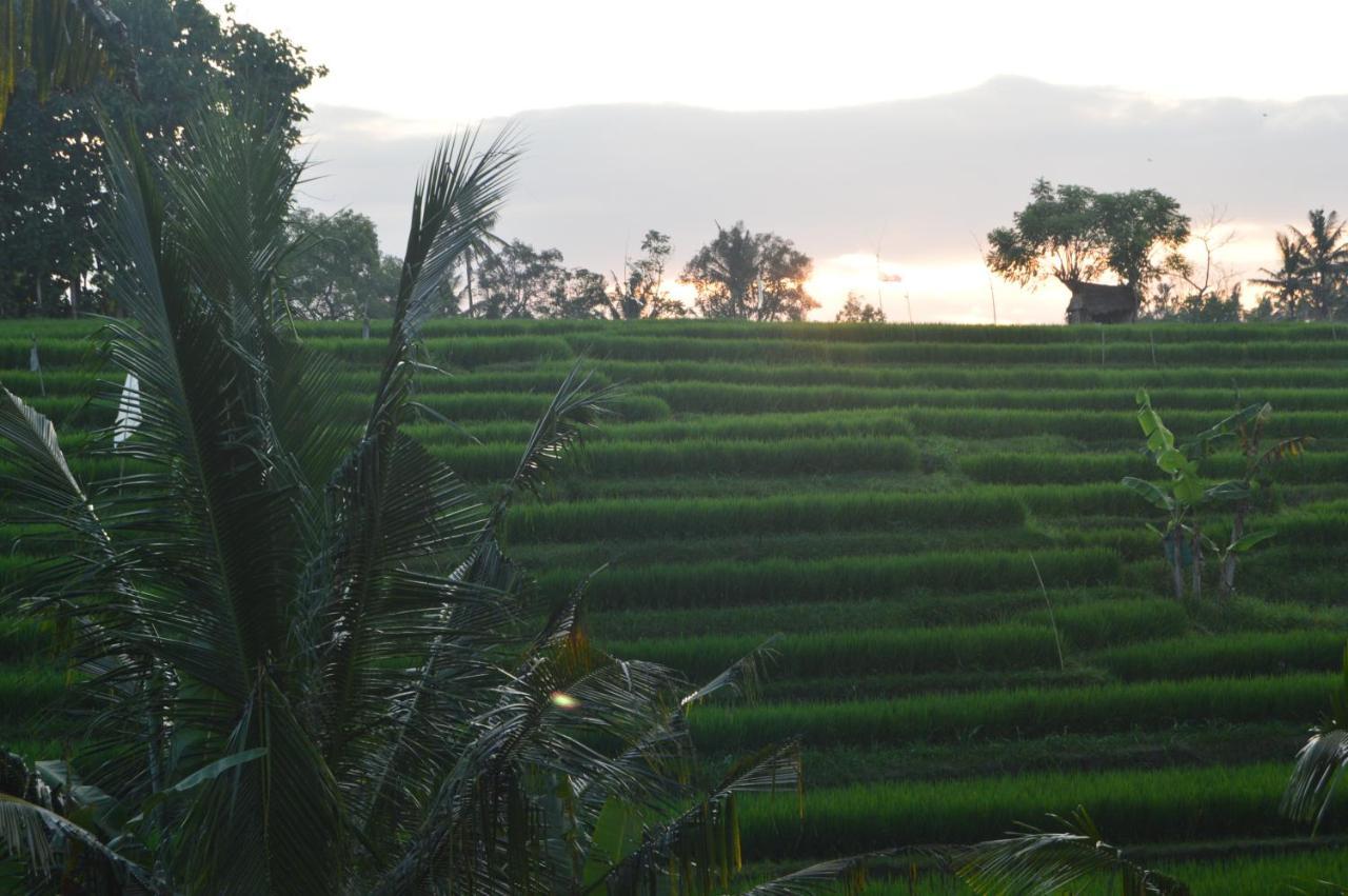 Serenity Private Villa Mas Ubud エクステリア 写真