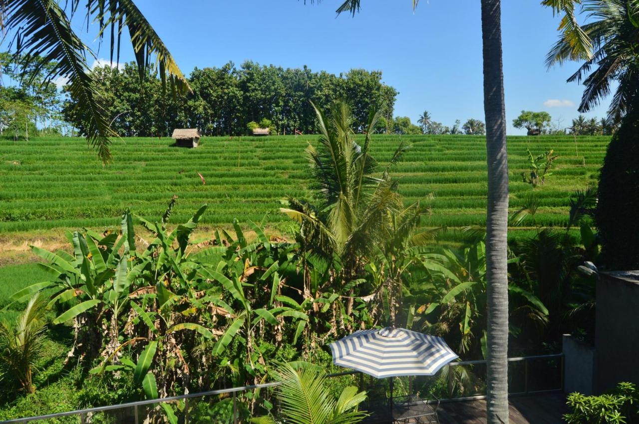 Serenity Private Villa Mas Ubud エクステリア 写真